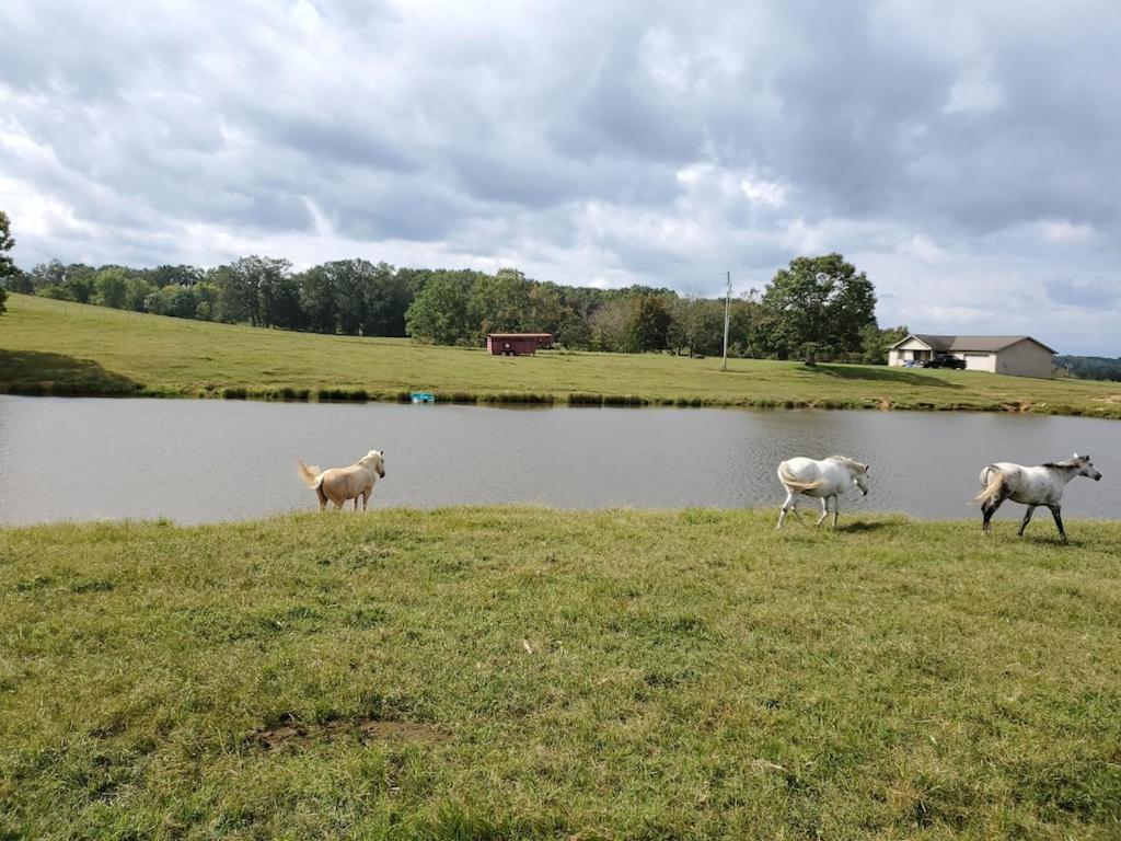 Secluded House On 60 Acres Close To Fall Creek Falls Pikeville Ngoại thất bức ảnh